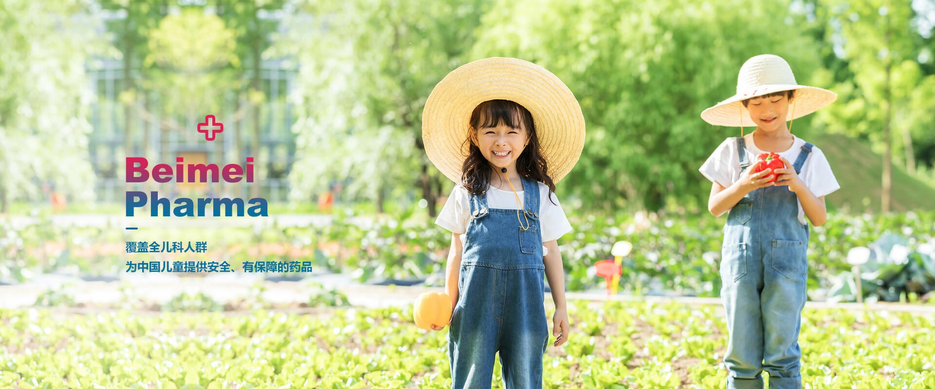 2022年11月貝美藥業(yè)自主研發(fā)的又一個品種，獲得生產(chǎn)許可B證！
